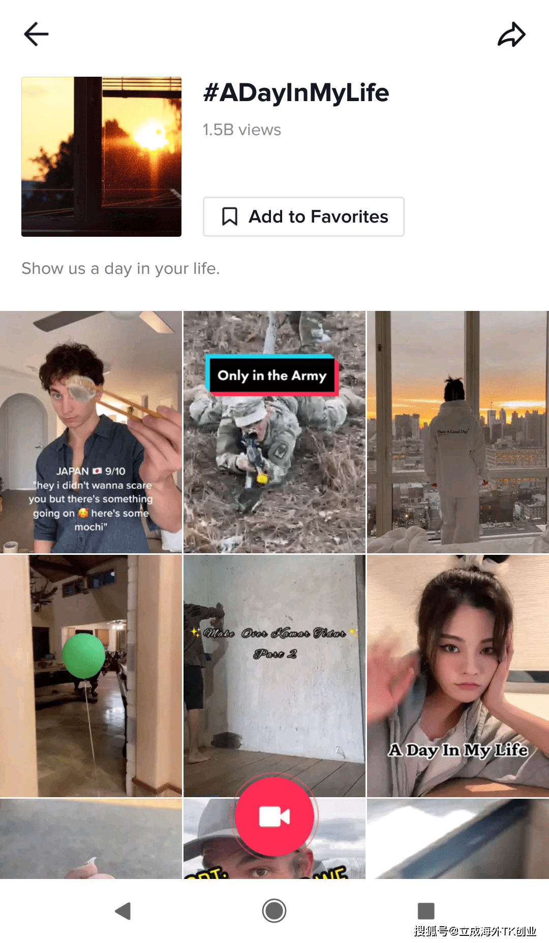 tiktok热榜怎么看 f40c600d9b06416f8c91de55a8bdb6dd.png