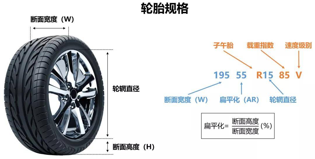 轮胎的高宽比图片