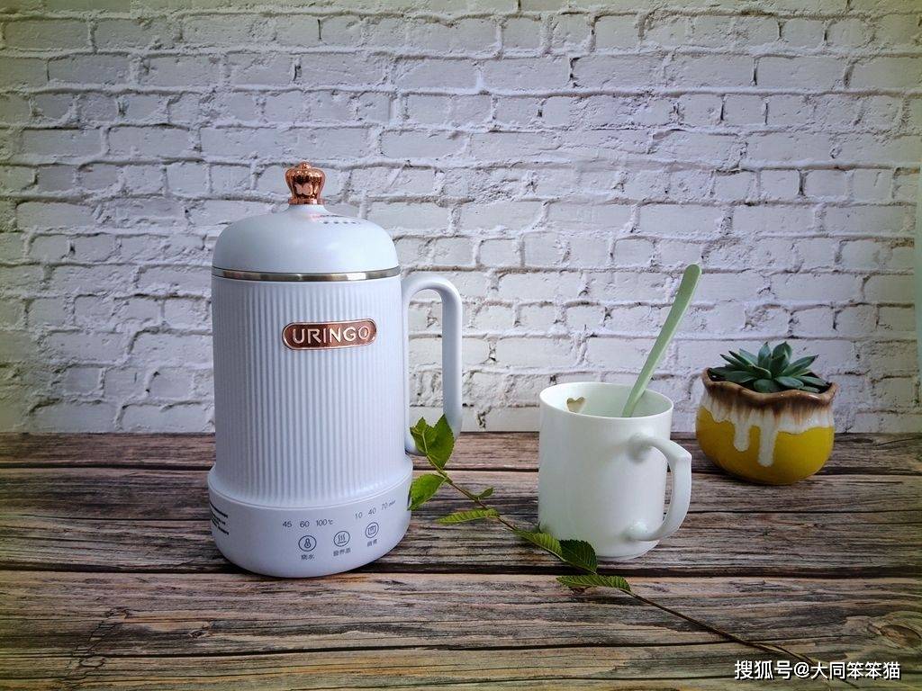 时间|七彩叮当迷你养生壶 健康养生 随心品味小资情调