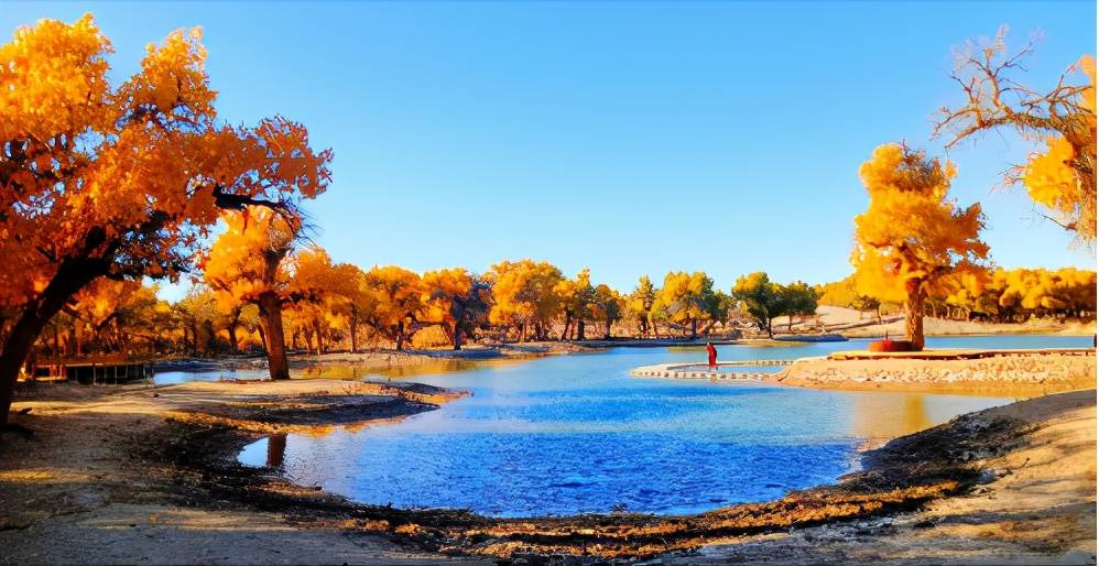 这个秋天与额济纳大漠胡杨赴约_景区