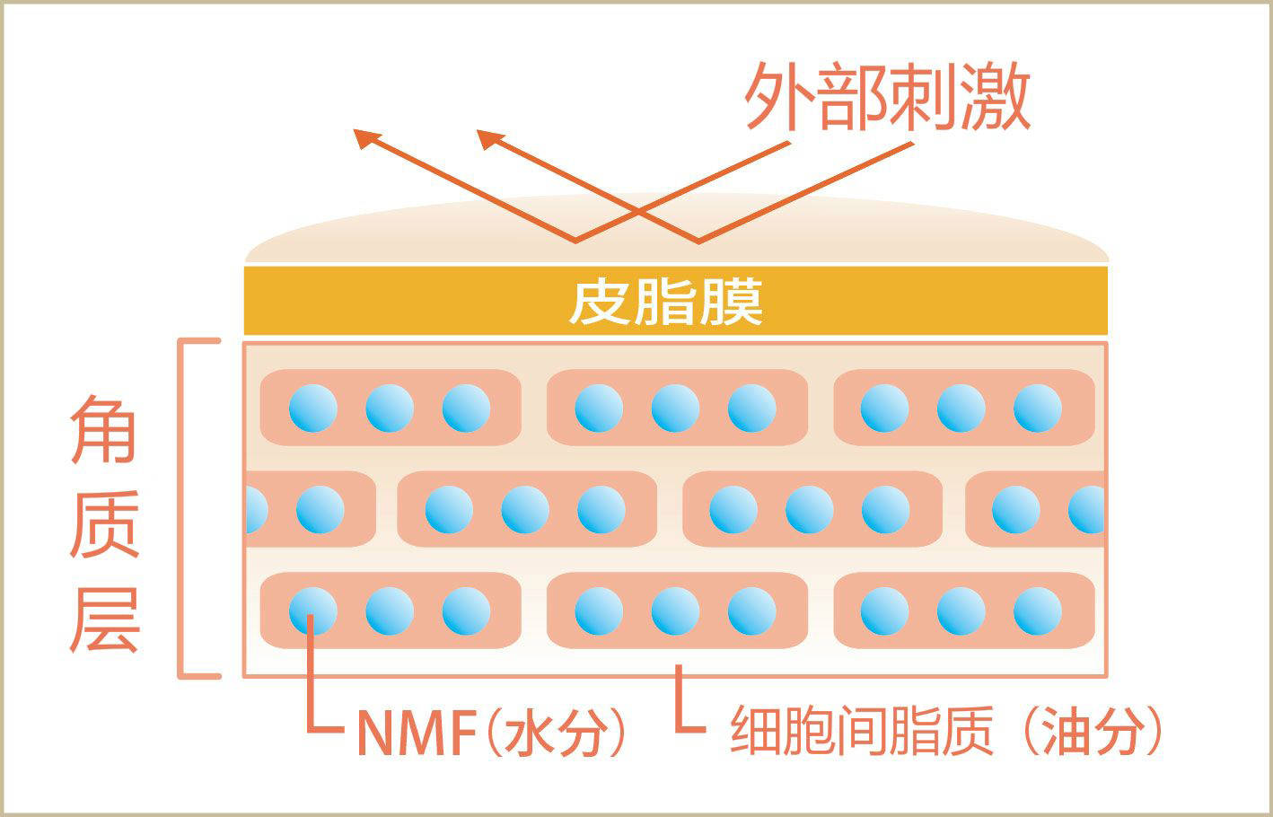 状况|怡玥 | 为何加倍小心护肤，还是状况百出？