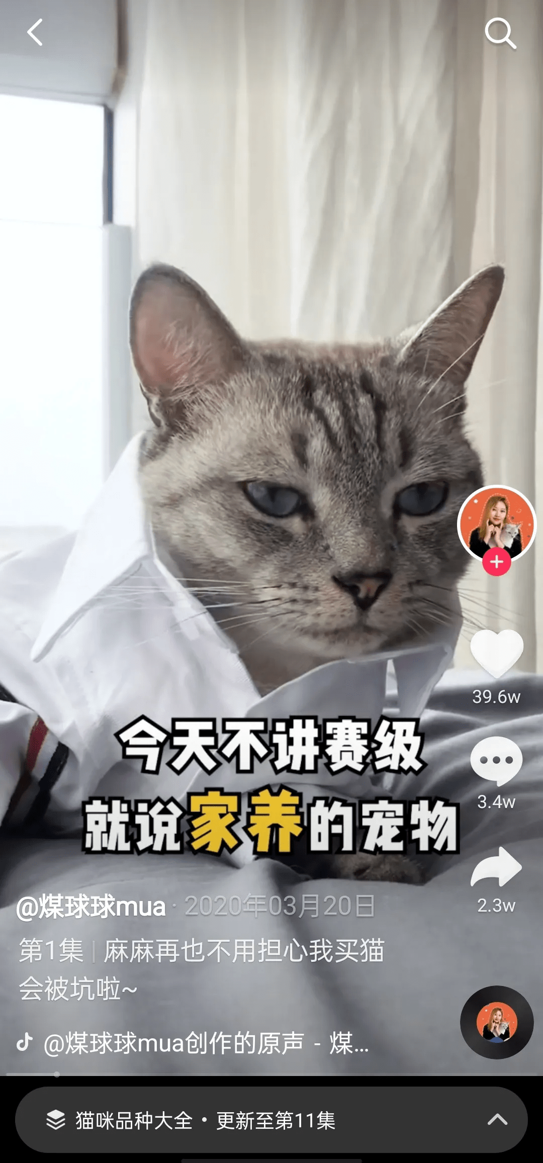 c94e682a7cba4bd7b7bf65abc3b31d34.png