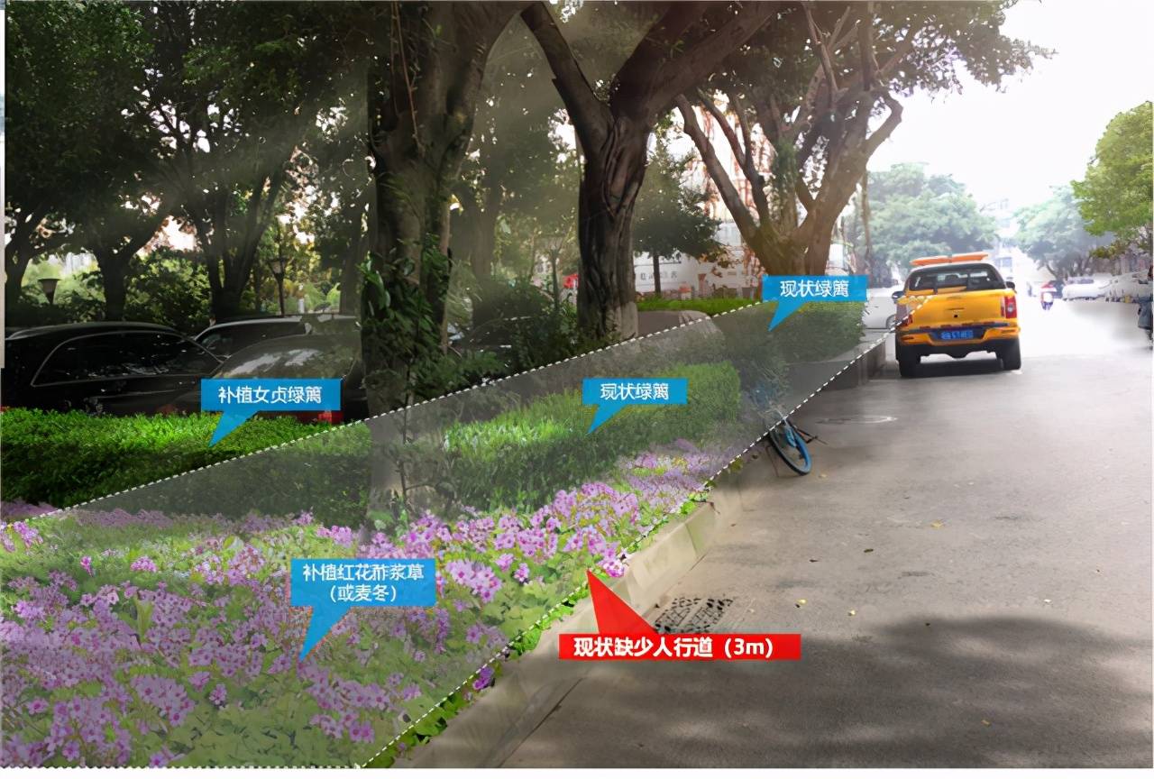 主要針對人行道,路側綠帶,道路分隔帶,道路節點, 建築退界等區域的