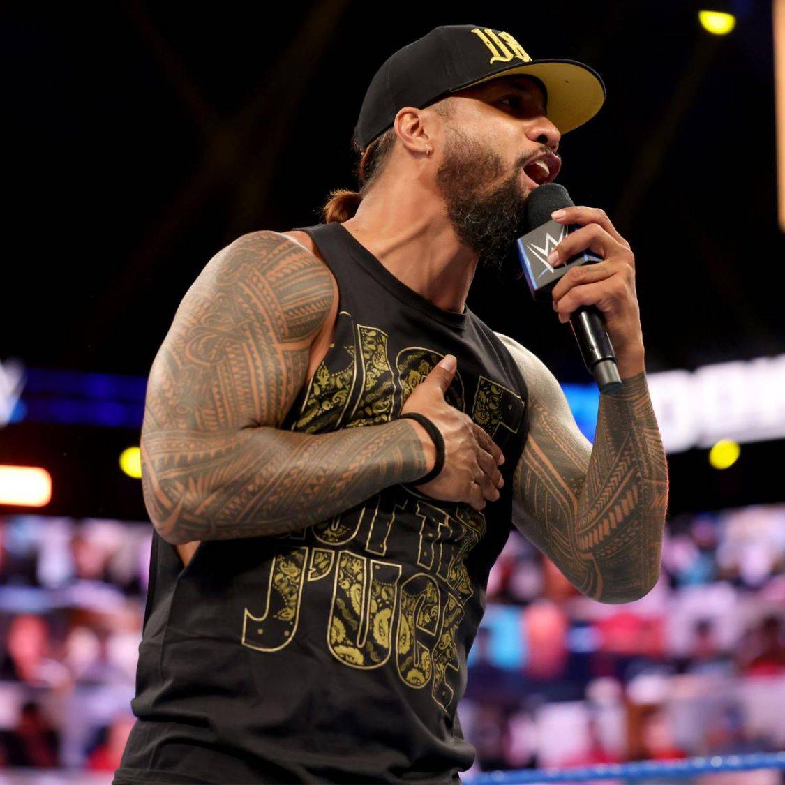 原创wwe四大家族都是谁?罗曼与强森竟然血缘和亲戚都毫无关系?