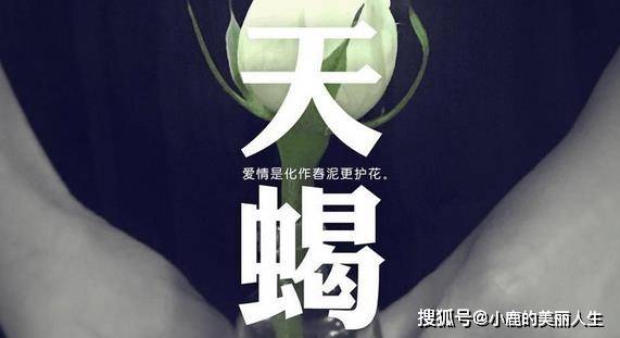 天蝎星座运势7月 5db15f51eb394705bf9c969565082598.jpeg