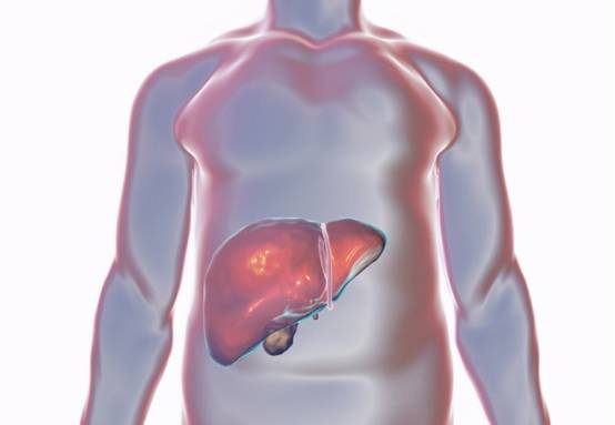 毒素|吃1口等于3斤绿豆，呼吁：肝不好的人不妨常吃，肝脏会感激你的