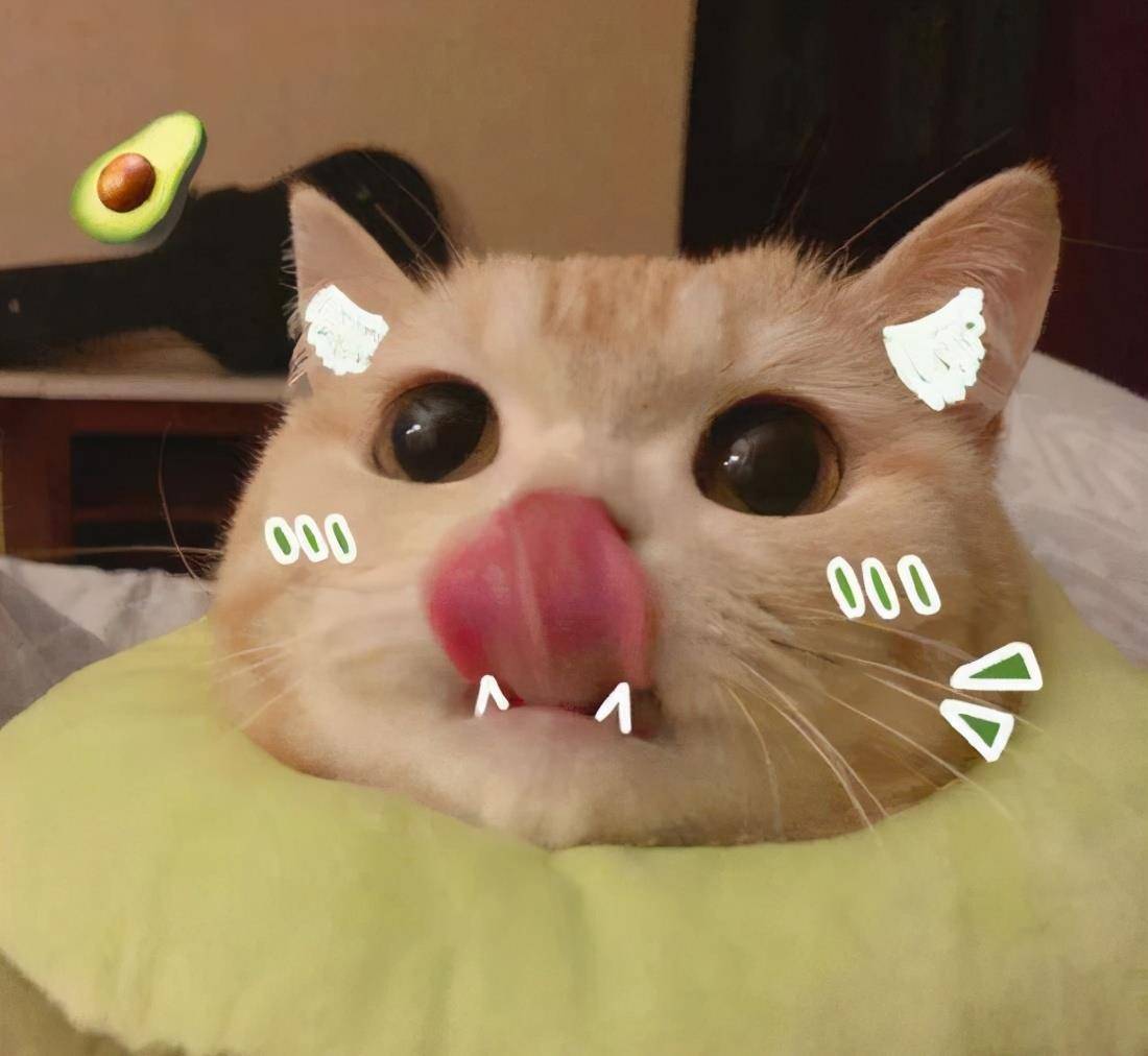 f05196c61d864887985a0249296df734.jpeg