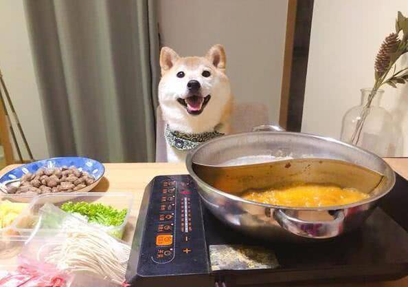 fabbc505c2634335a7886579cf6ff34d.jpeg