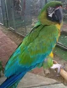 44cf369bd30f41598a34abd1abad9a6a.jpeg