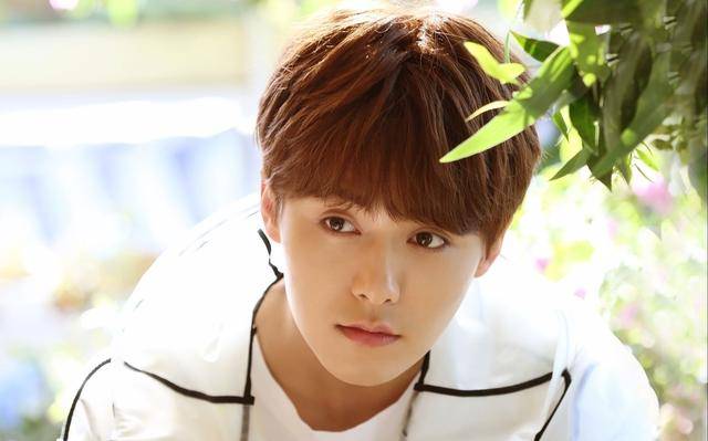 宋丽玲|男明星扮女装？以假乱真的5位，最后一位可以封神