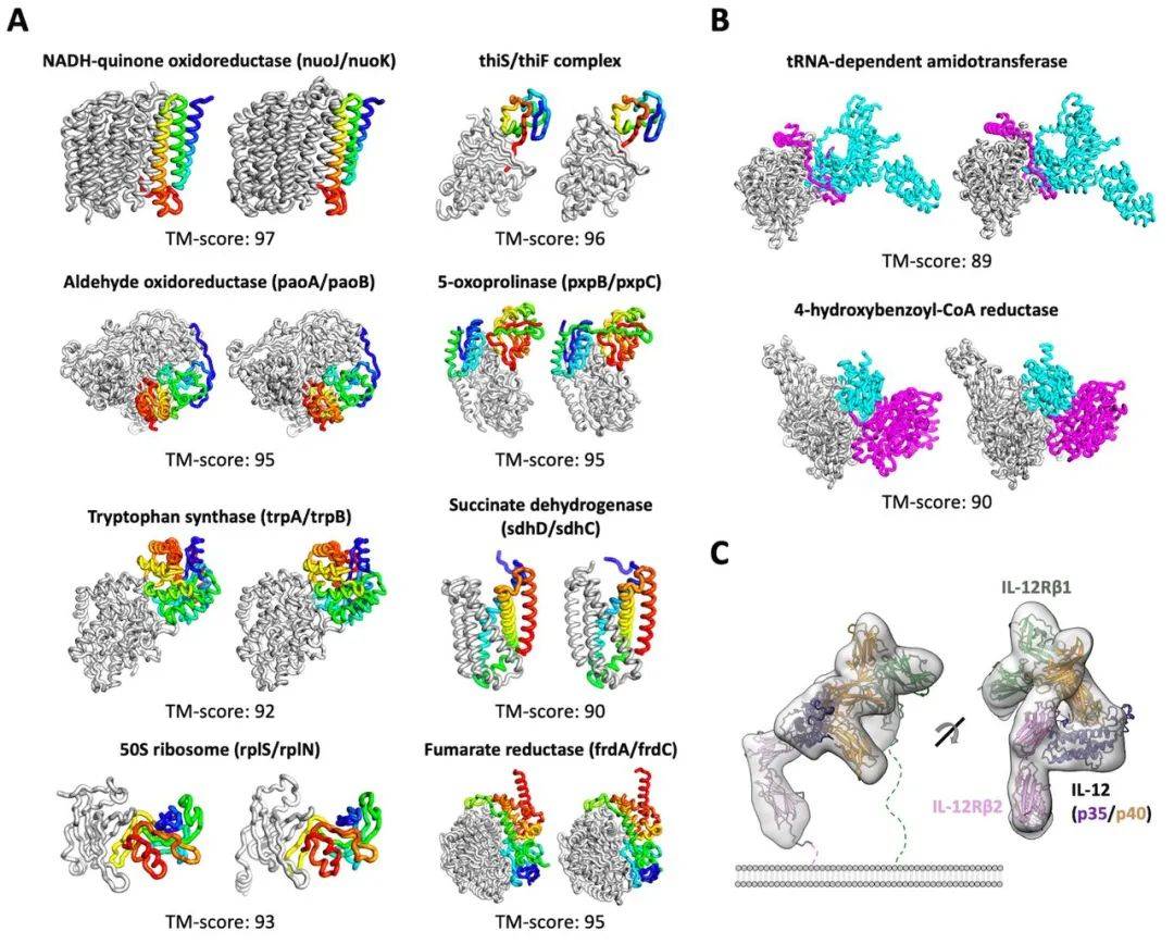 蛋白|一天之内，两大AI预测蛋白结构算法开源，分别登上Nature、Science