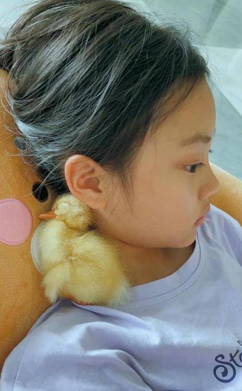 原创一次主持人问李小璐听说你是意外怀孕有了甜馨是真的吗