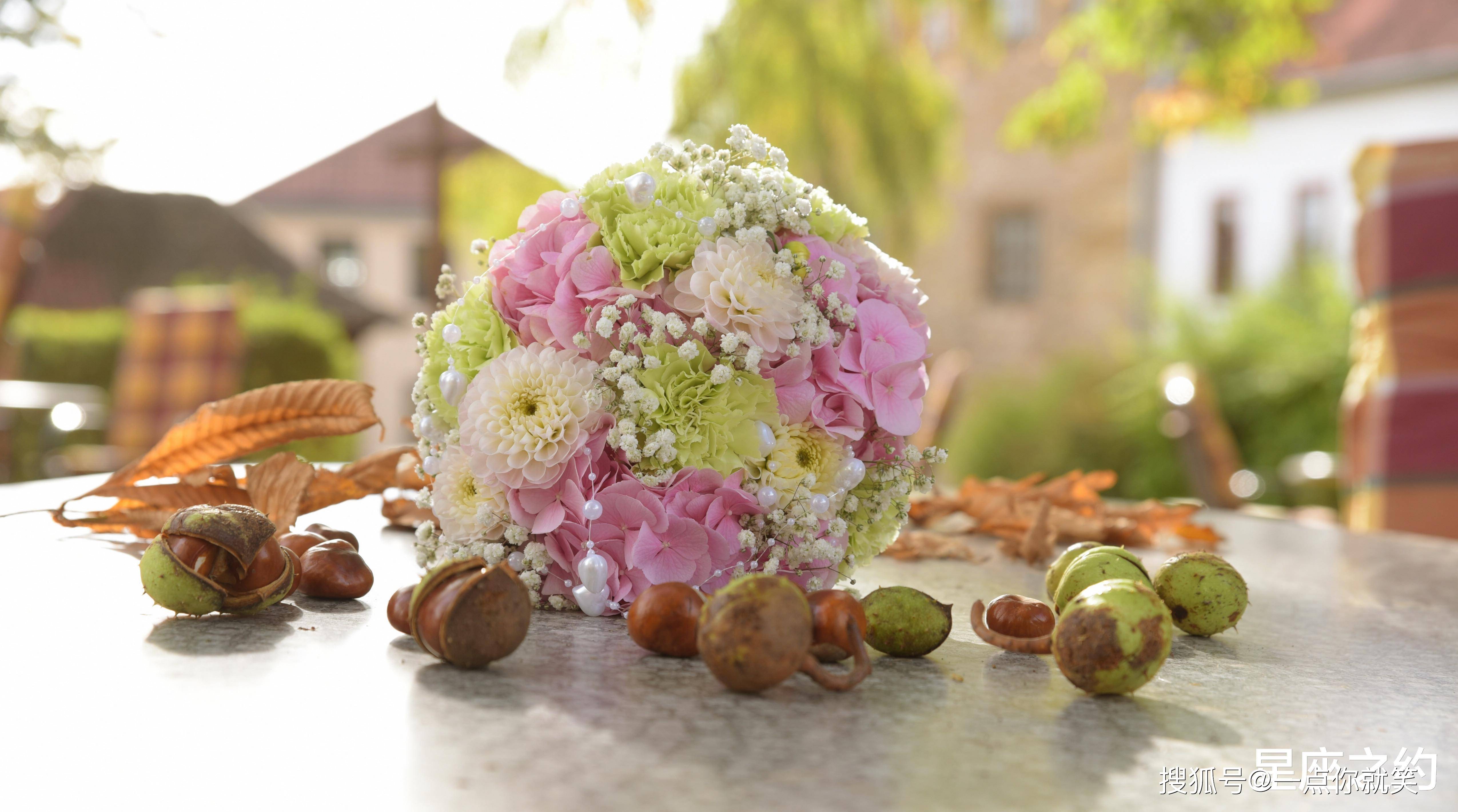 10月19日星座运势 积极主动 游刃有余 的四大星座 工作