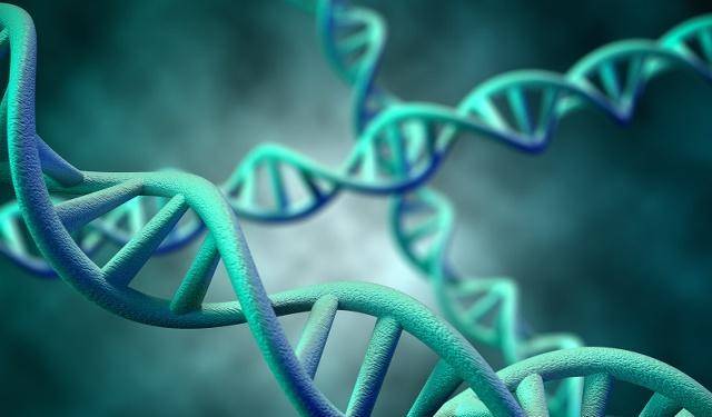 什么是基因突变 71f8b6fc7f264ee79a3688de71bf656e.jpeg