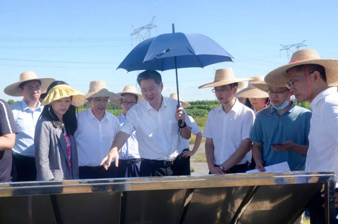 广东省调研组赴雷州调研大型产业园区规划情况