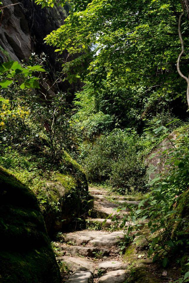武夷山牛栏坑,一不小心就摔进了美景中