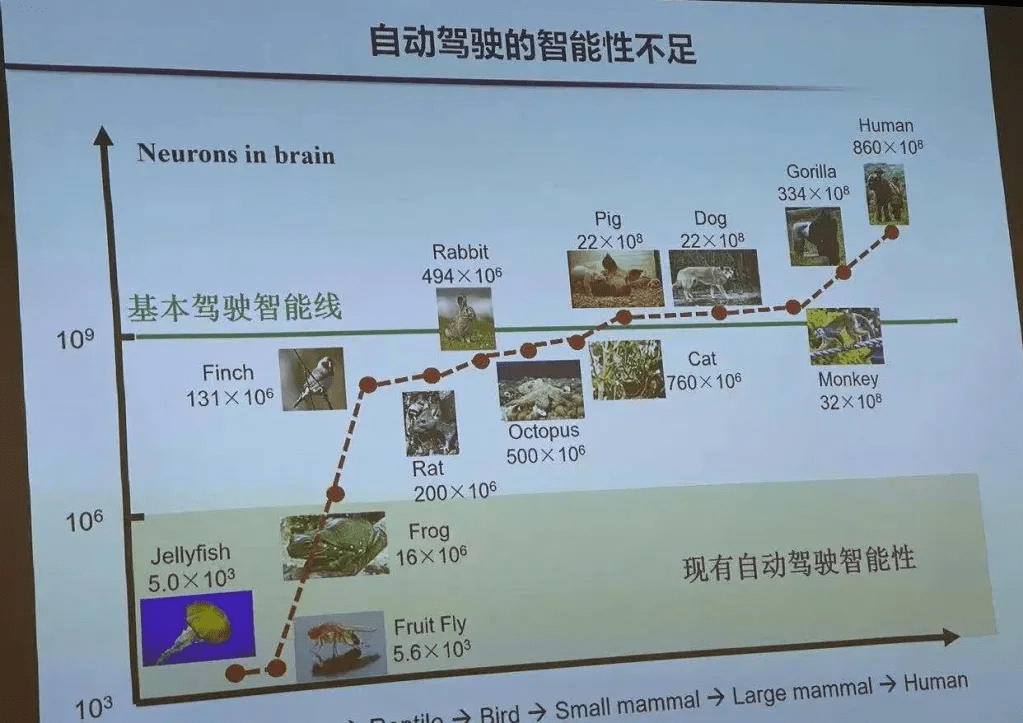 市场|5年过去了，汽车行业的巨变和不变