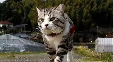 40f5f9aae747468e87c90ab042ed98ee.jpeg
