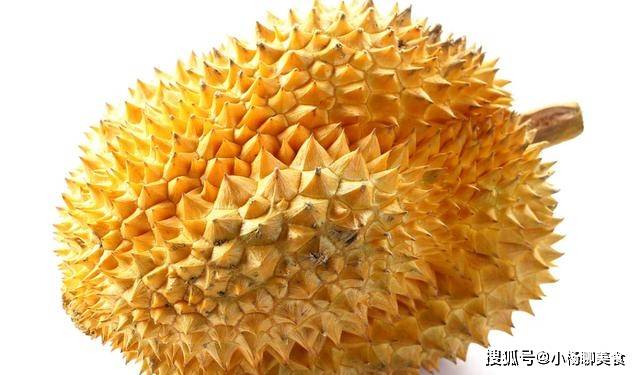 如何挑选皮薄肉厚榴莲 a548b8909aee45b495d55aa63b3b54e2.jpeg