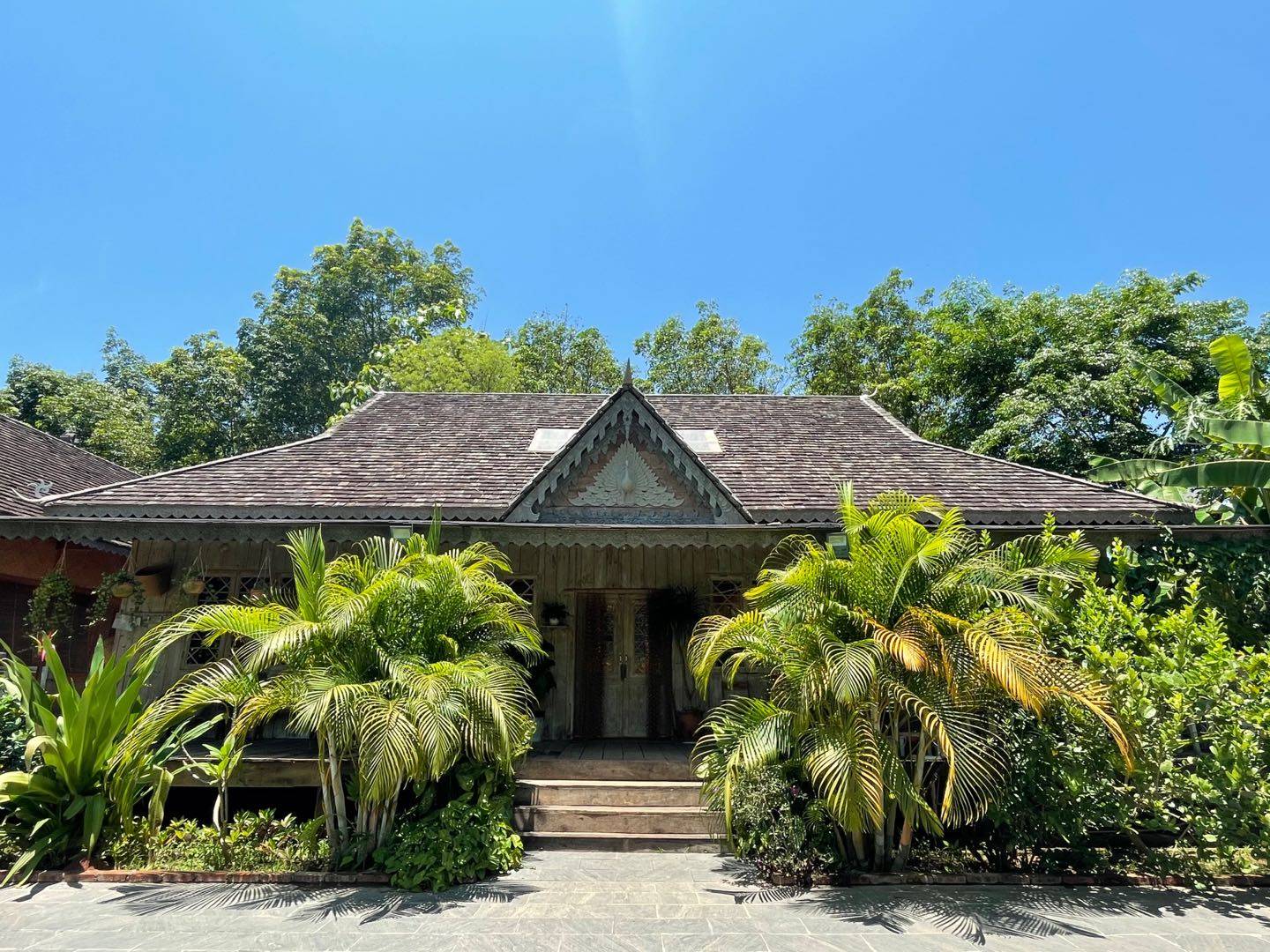 向往的生活蘑菇屋收费参观,20元一人还送果汁,小院实在太美了_热带