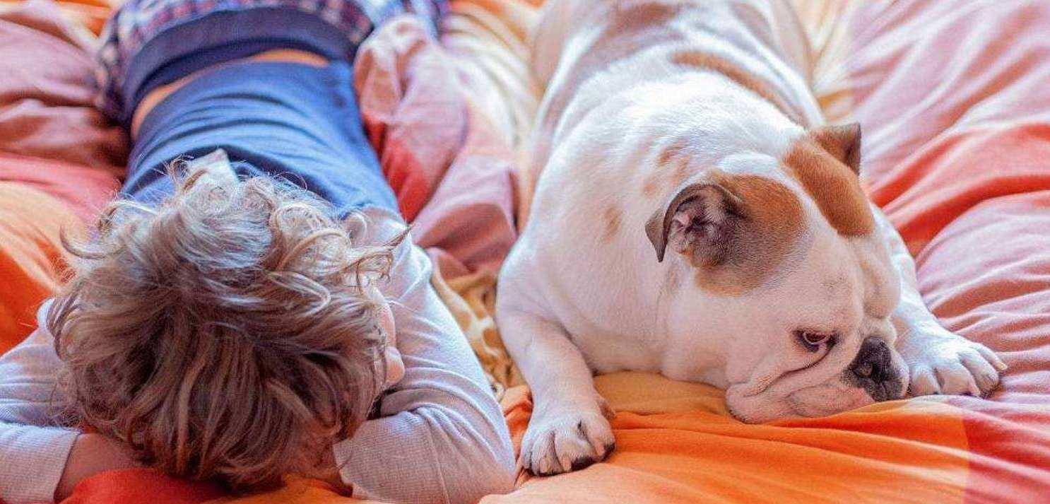 狗为啥不建议送人 0dfa6bb6eef04d449a9f02832c4ae783.jpeg