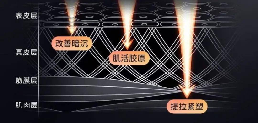 植物|就是“这条线”！成为暴露你年龄的“突破口”