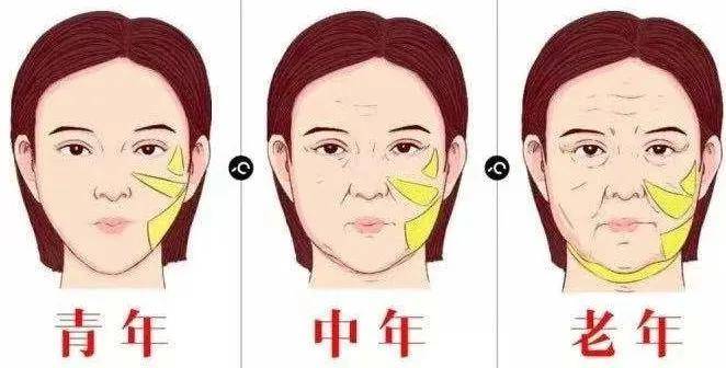 植物|就是“这条线”！成为暴露你年龄的“突破口”