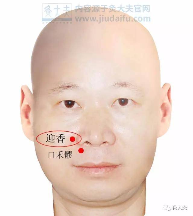 迎香穴的功效 6a949a4e85c0424484608d990a0bc9db.jpeg