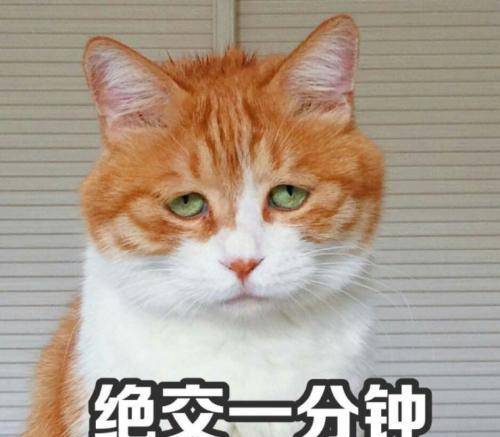 主人回家找不到猫主子,跑去厕所一看,眼前的一幕让人好气又好笑 主人回家找不到猫主子,跑去厕所一看,眼前的一幕让人好气又好笑
