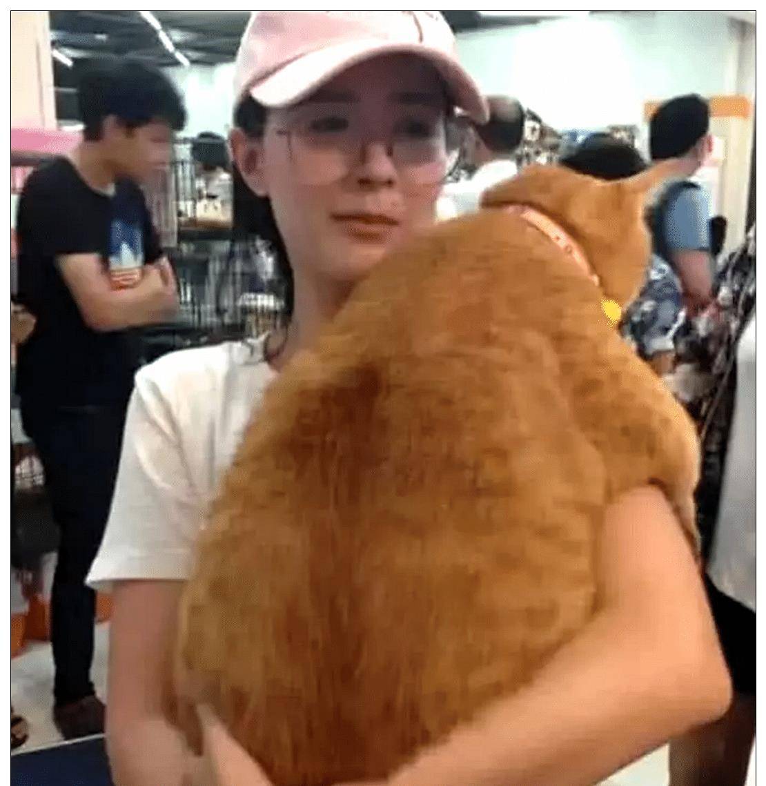 女子抱着橘猫去逛商场，没一会却引来众人围观，网友：活着不如猫