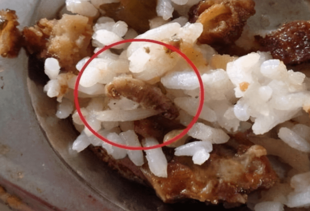 家长|幼儿园老师晒午餐照,家长发现猫腻并截图质问,班级群瞬间炸锅