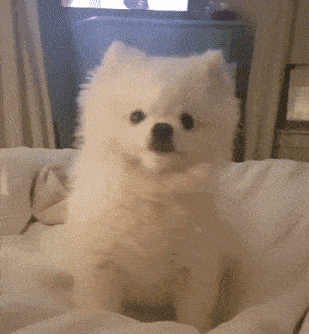 ��Ƥ����������ʱ��ϸ�����ڸ�ʲô��