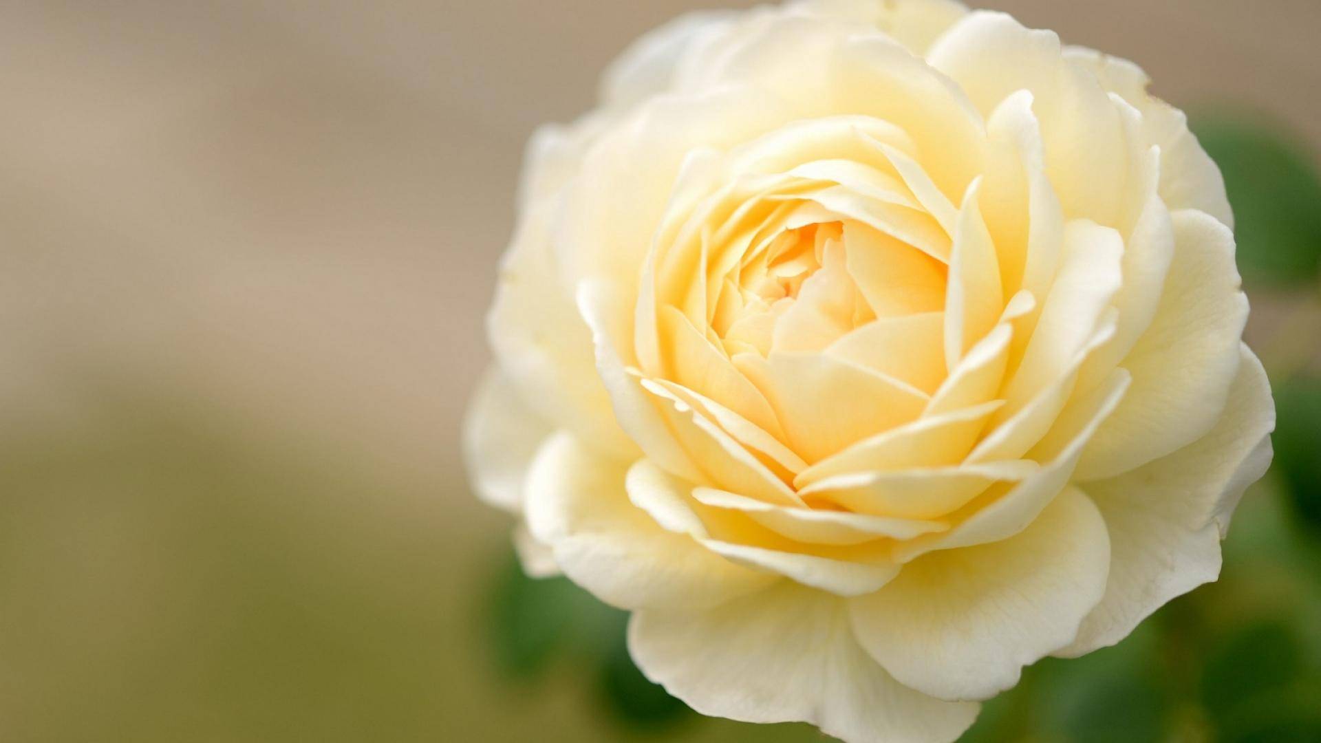 7月日星座运势 金牛迎接挑战 天秤严于律己 射手头脑清醒 工作