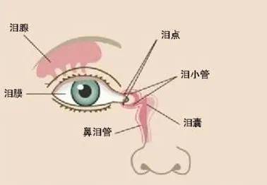 影响|【爱眼护眼75】泪膜对视觉质量的影响