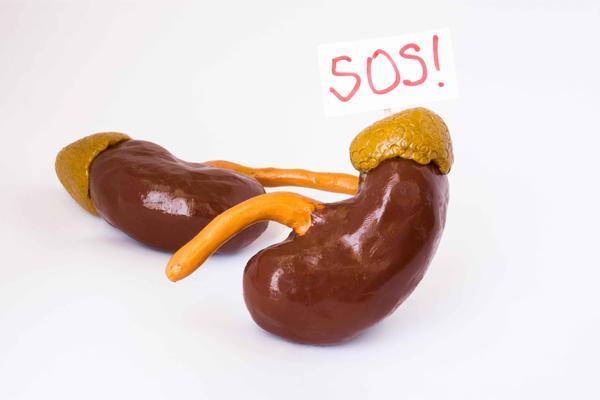 免疫力|医生劝告：肾不好，管住嘴，饮食牢记“3少2多”，避免肾衰竭