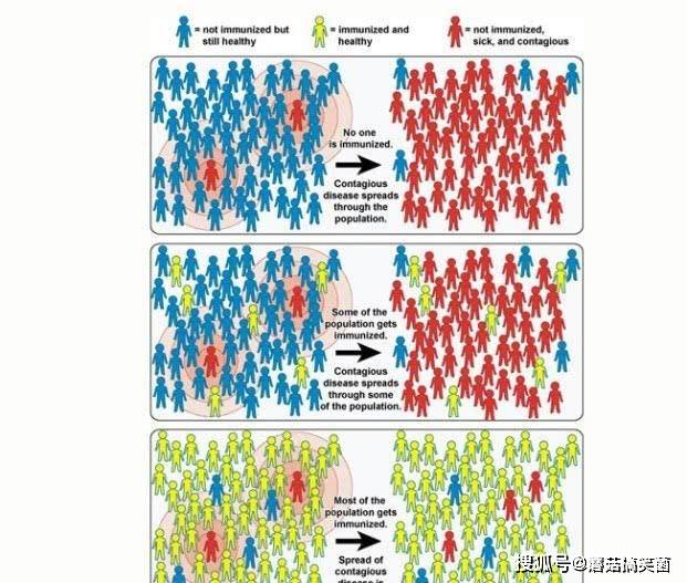 群体|群体免疫真的能保护我们远离新冠病毒吗？