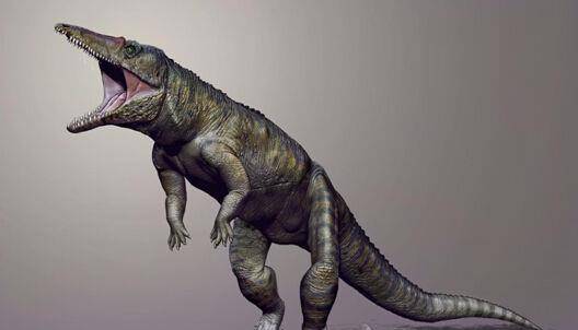 恐龙进化的中间环节,那些奇葩的庞然大物,谁才是恐龙的祖先