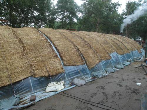 资产监测技术保障大棚养鹅