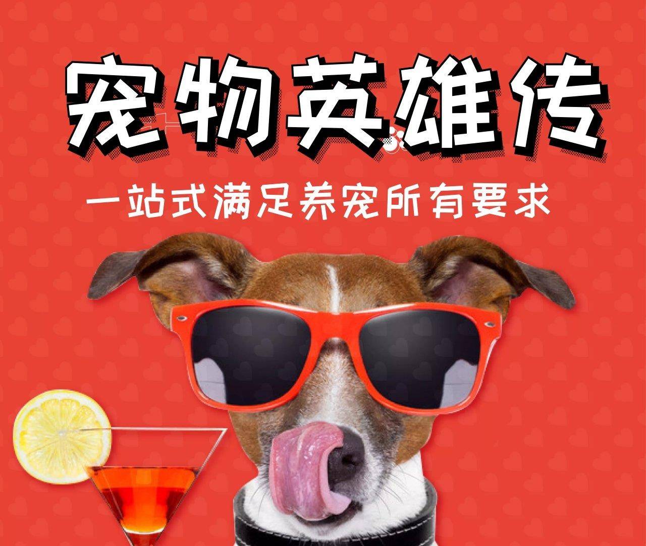 因为|这么多人喜欢柯基,原来是这些原因,估计铲屎官都想不到