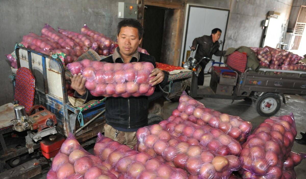 李赔十学长的苹果可靠吗 李赔十学长一直不发货