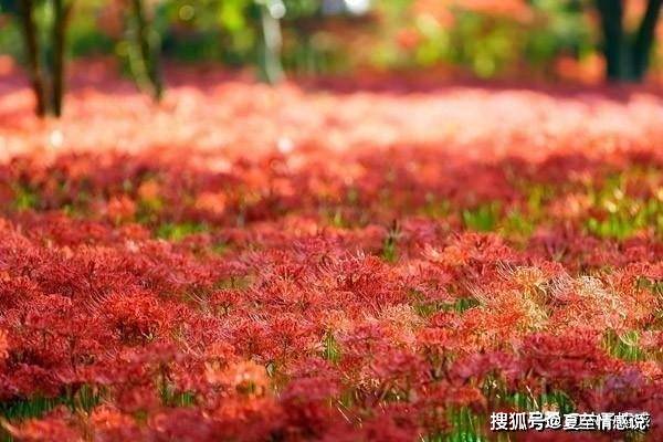 公婆|小姑子要来婆婆家坐月子，问我同不同意，我一句话让她默不作声