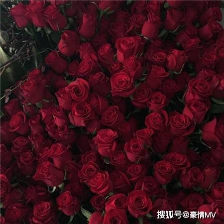 21唯美高级感鲜花背景图 浪漫的高级感鲜花束图片素材 粉紫色