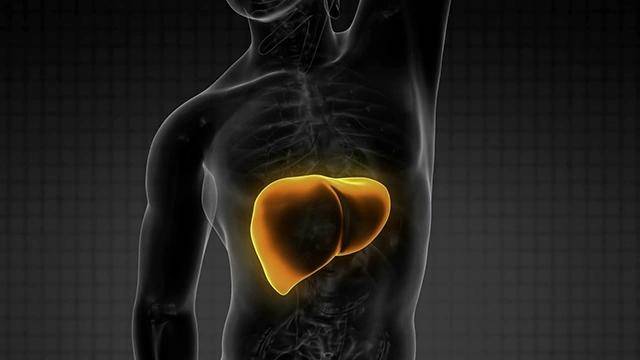 如何拥有一个健康的肝脏 d2dadb29639e4ca8b2962d2dee67462d.jpeg