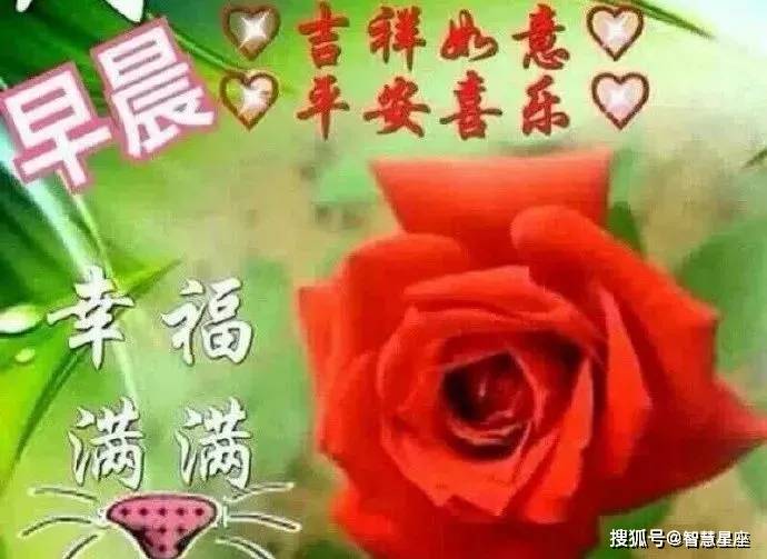 05d2aef46818429cb9ce52b903ad03f1.jpeg