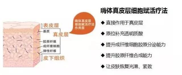 脸部|低头族，别光顾着刷新闻啦！你的颈纹几级了？颈纹不可逆！那是你还不了解它~