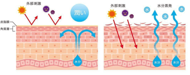 姐妹|夏季面膜该怎样选？