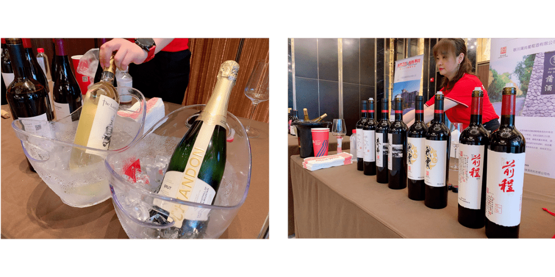 阳阳|收官之站！中国贺兰山葡萄酒探索之旅—酒庄庄主代表访谈