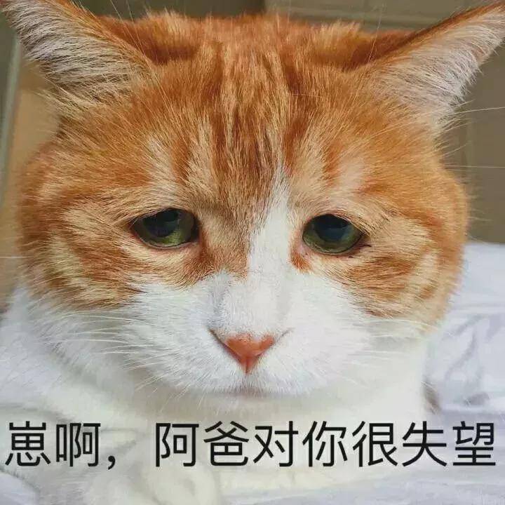 4db18aeb22e047d698762fab6c527d37.jpeg