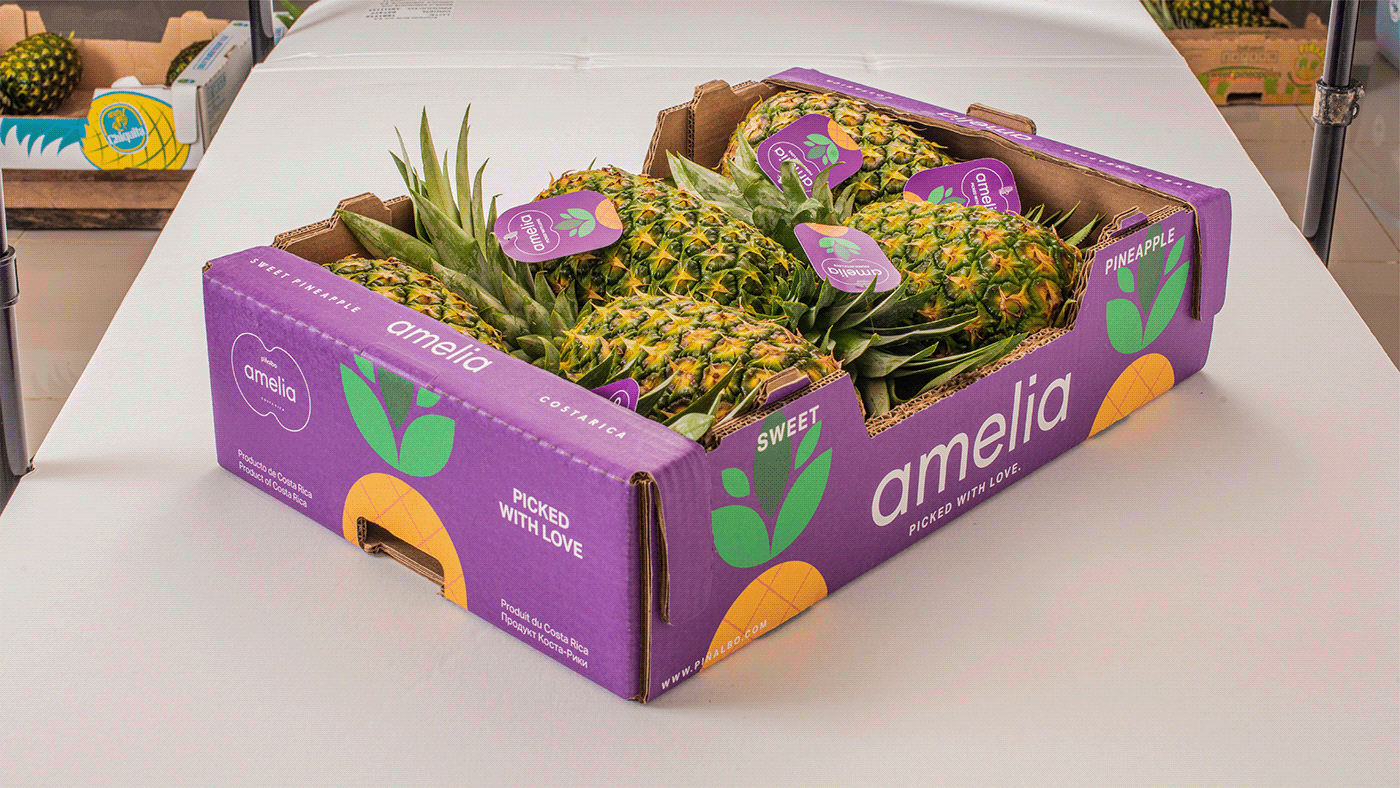 Atelier|平面设计 | Pi?albo 哥斯达黎加水果品牌形象设计