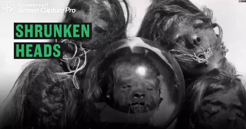 尼古拉斯凯奇|再见了，尼古拉斯凯奇，再见了，我的一代男神！